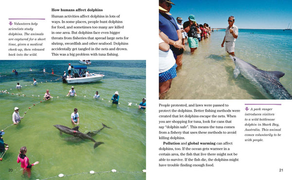 Face to Face with Dolphins: Level 5 (National Geographic Readers) - Paperback