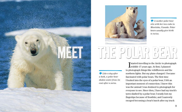 Face to Face with Polar Bears: Level 5 (National Geographic Readers) - Paperback