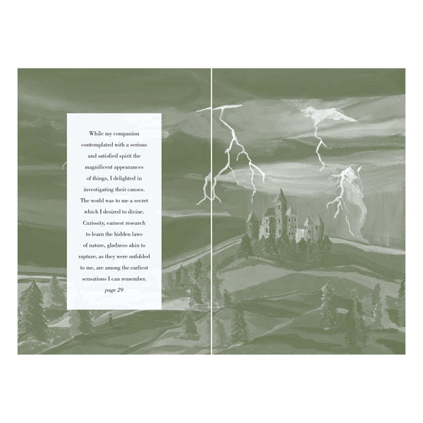 Pretty Books (Painted Editions) : Frankenstein - Hardback