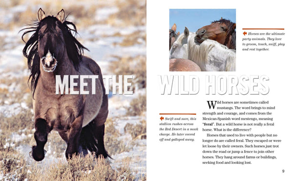 Face to Face with Wild Horses: Level 6 (National Geographic Readers) - Paperback