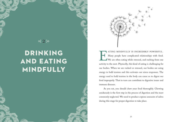 Little Bit of Meditation Guided Journal