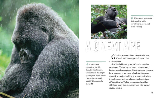 Face to Face with Gorillas: Level 5 (National Geographic Readers) - Paperback