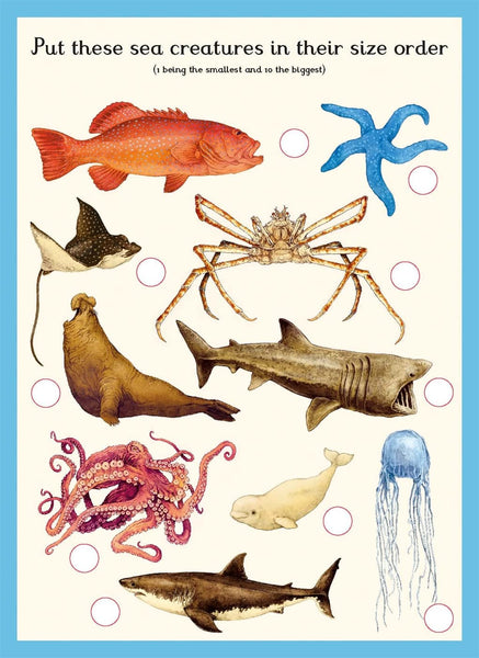 Oceanarium Activity - Paperback