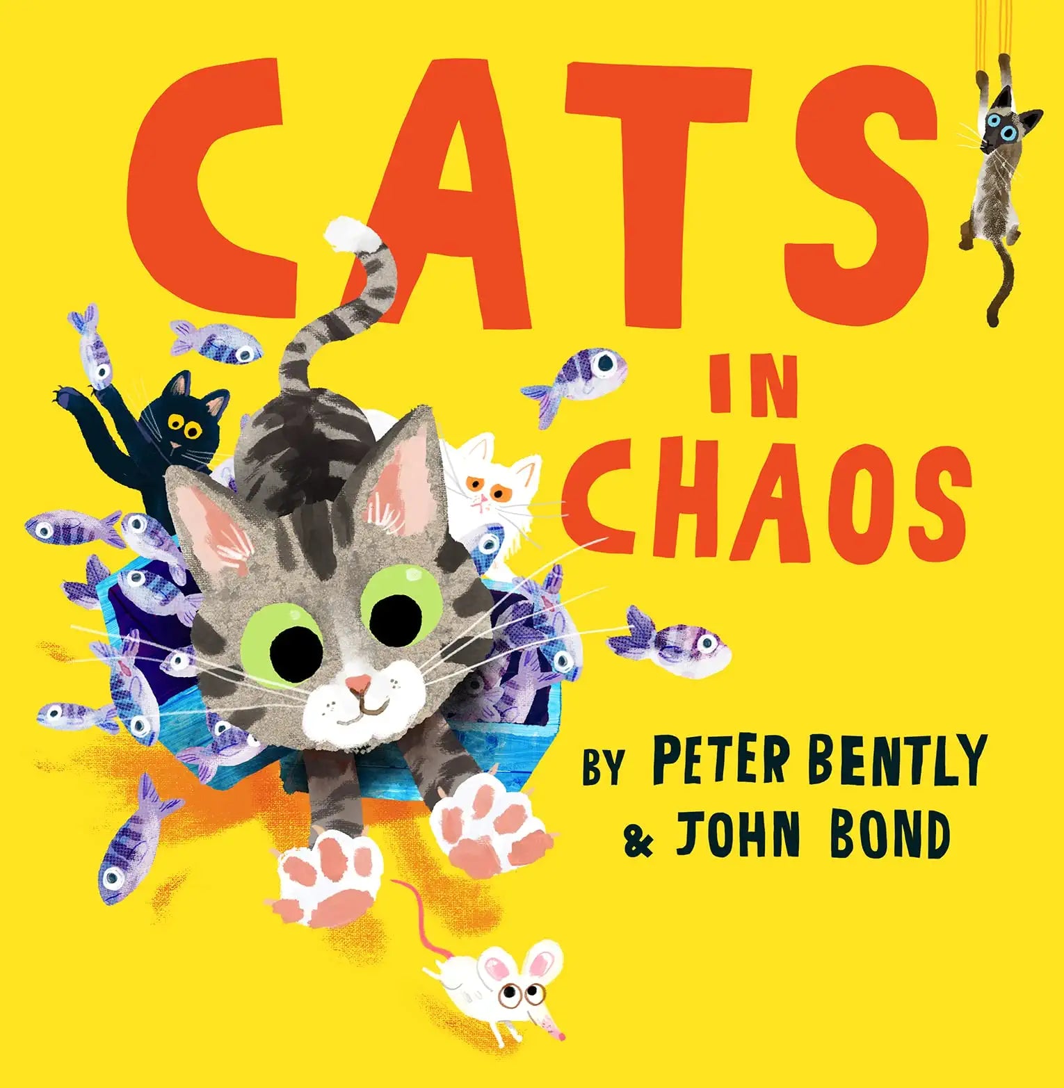 Cats in Chaos : A Laugh-Out-Loud Rhyming Story, Perfect for Cat Lovers! - Paperback