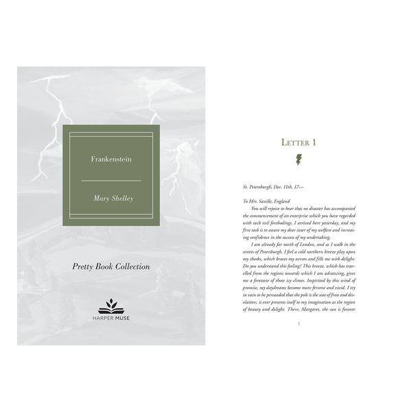Pretty Books (Painted Editions) : Frankenstein - Hardback