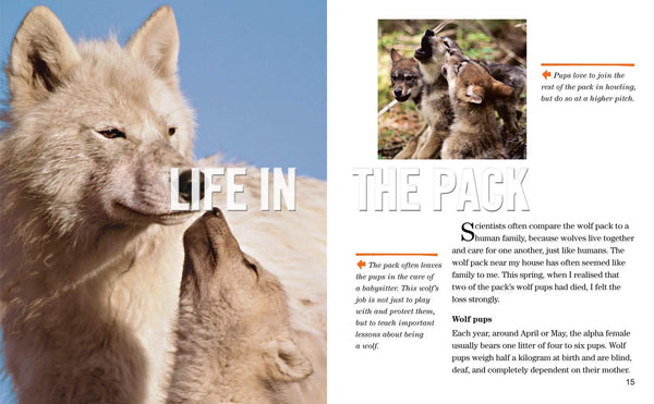 Face to Face with Wolves: Level 6 (National Geographic Readers) - Paperback