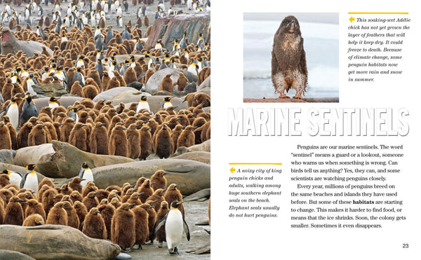 Face to Face with Penguins: Level 6 (National Geographic Readers) - Paperback