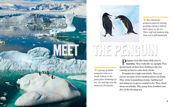 Face to Face with Penguins: Level 6 (National Geographic Readers) - Paperback