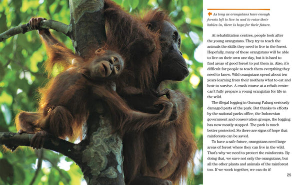 Face to Face with Orangutans: Level 5 (National Geographic Readers) - Paperback