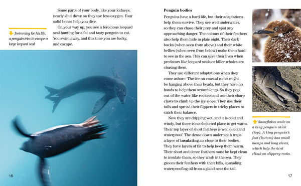 Face to Face with Penguins: Level 6 (National Geographic Readers) - Paperback