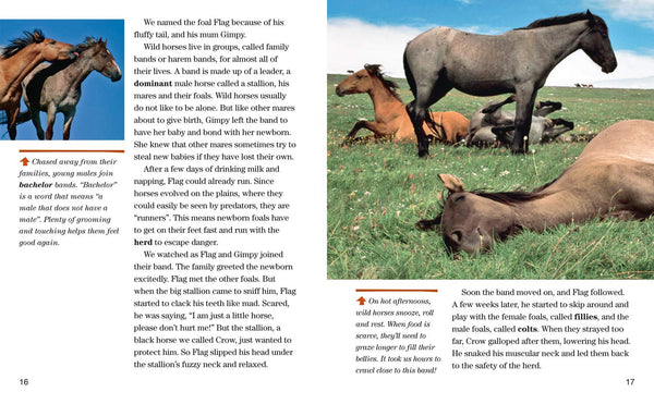 Face to Face with Wild Horses: Level 6 (National Geographic Readers) - Paperback