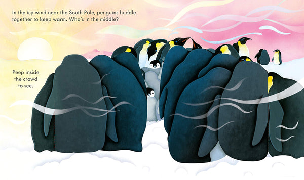 Peep Inside Snowy Places - Boardbook