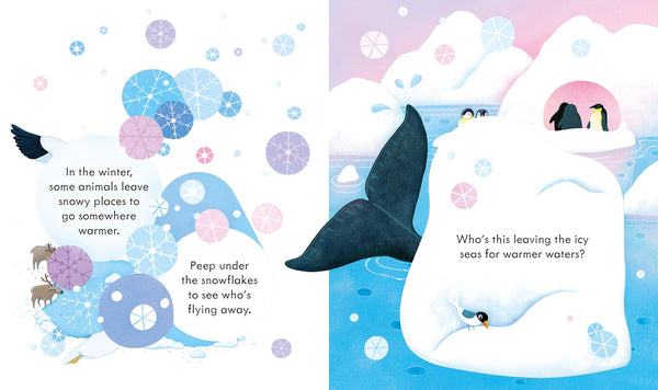 Peep Inside Snowy Places - Boardbook