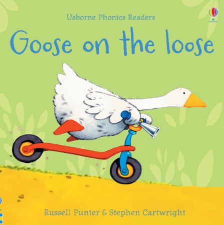 Usborne Phonics Readers : Goose on the loose - Paperback