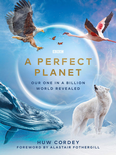 BBC A Perfect Planet - Hardback