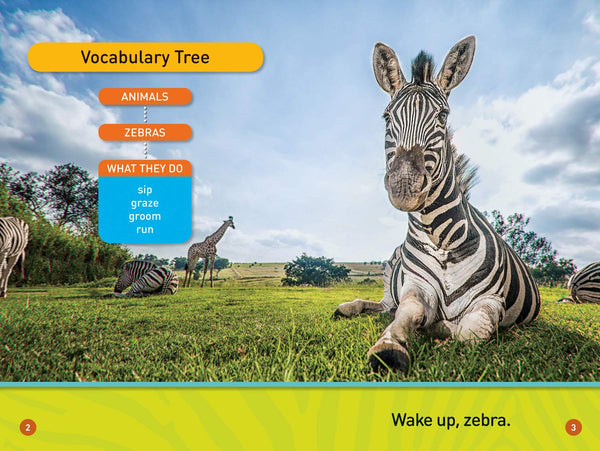 National Geographic Readers: A Zebra's Day - Paperback