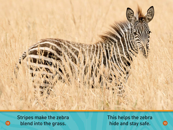 National Geographic Readers: A Zebra's Day - Paperback