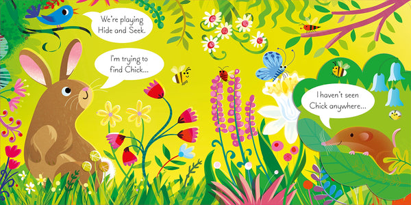Play Hide and Seek with Bunny - Board Book