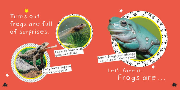 So Cool: Frogs  - Hardback