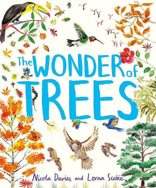 The Wonder of Trees - Hardback