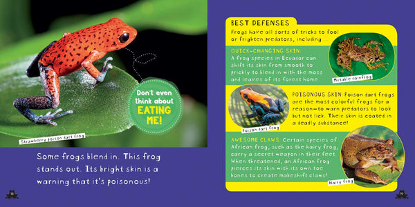 So Cool: Frogs  - Hardback
