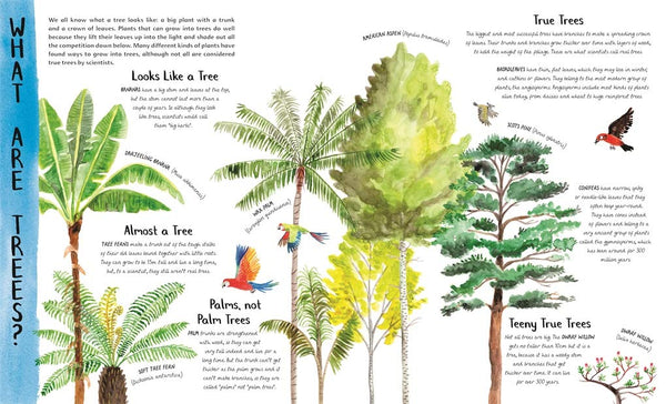 The Wonder of Trees - Hardback