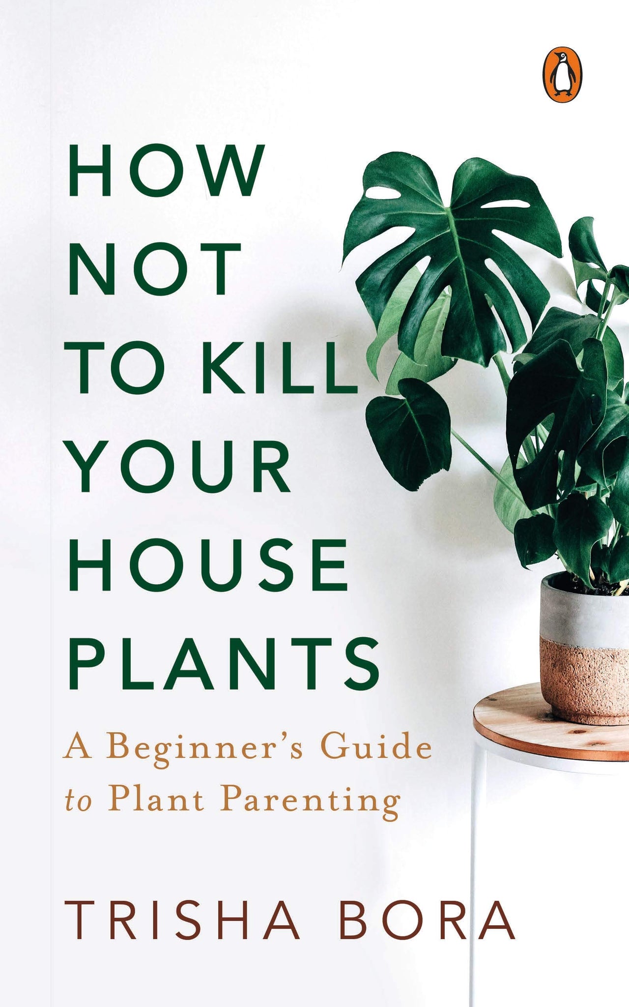 How Not to Kill Your Houseplants: A Beginner's Guide to Plant Parenting - Paperback