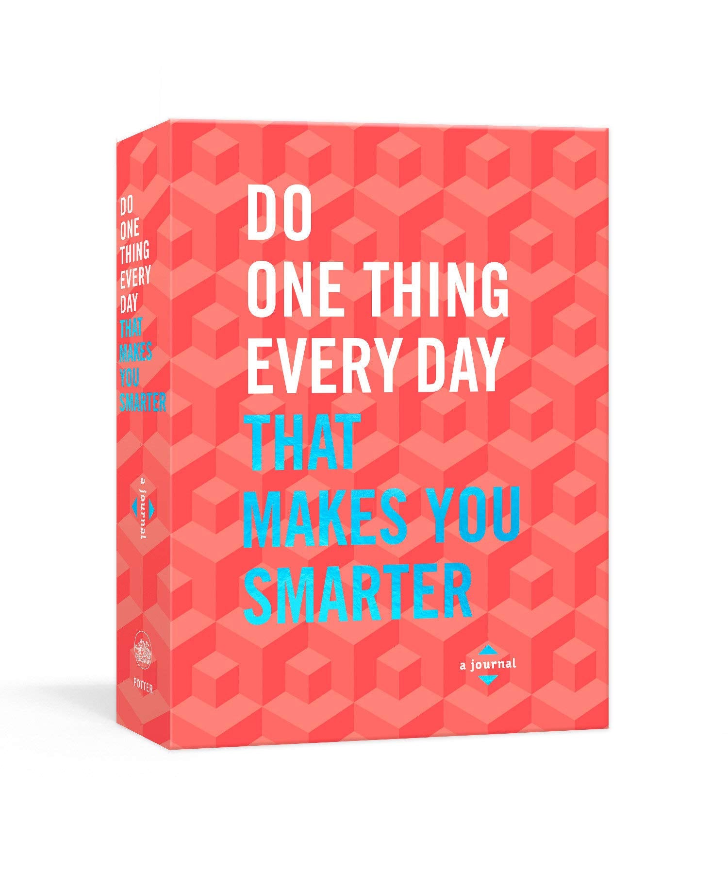 Do One Thing Every Day That Makes You Smarter - Paperback