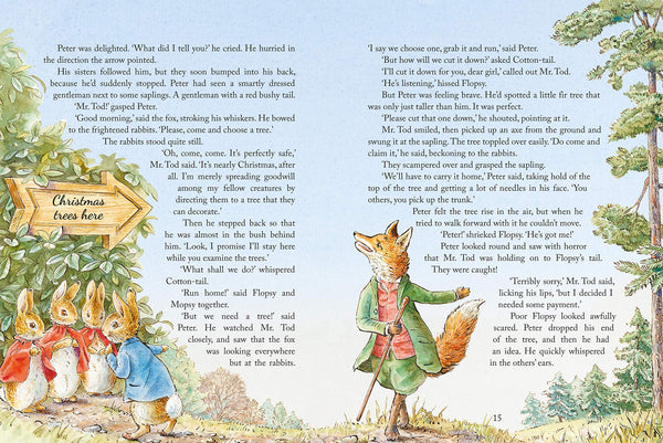 Peter Rabbit : Christmas is Coming - Hardback