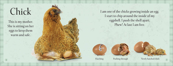See How They Grow Farm - Hardback