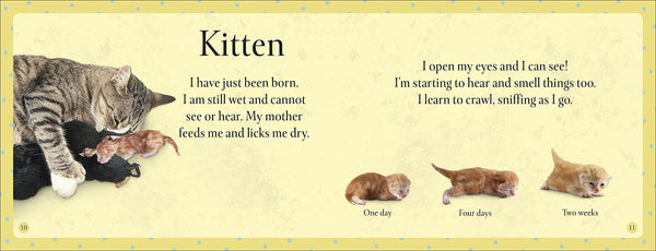 See How They Grow Pets - Hardback