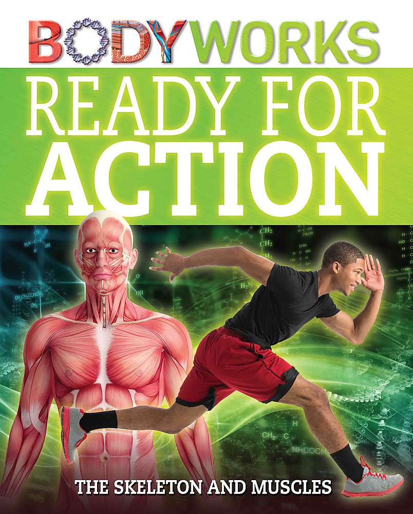 BodyWorks : Ready for Action : The Skeleton and Muscles - Hardback