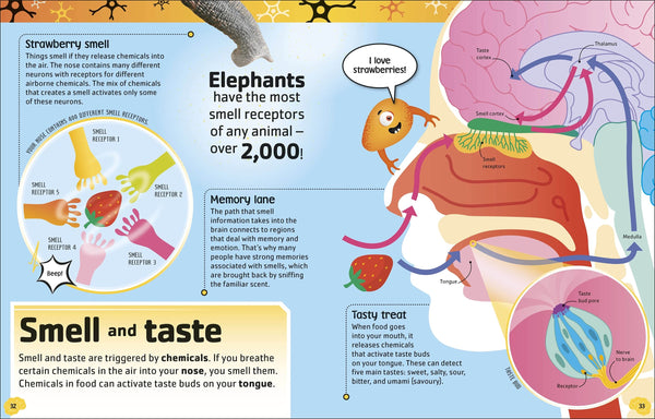 The Brain Book - Hardback