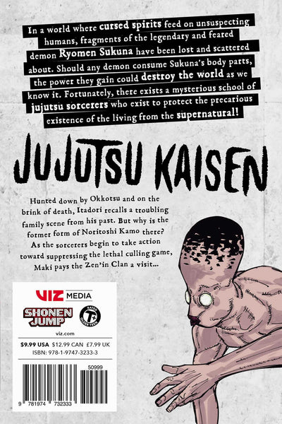 Jujutsu Kaisen #17 - Paperback