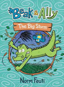 Beak & Ally #3 : The Big Storm - Hardback