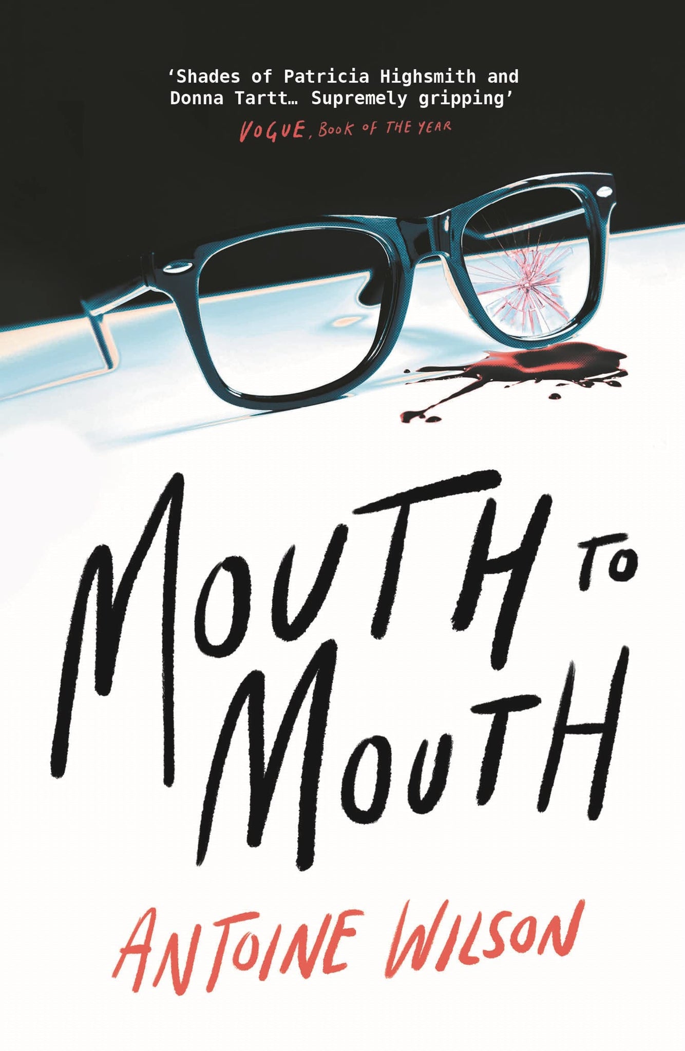 Mouth To Mouth - Paperback