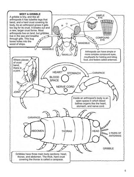 Dover Children's Science Books : My First Book About Bugs - Paperback