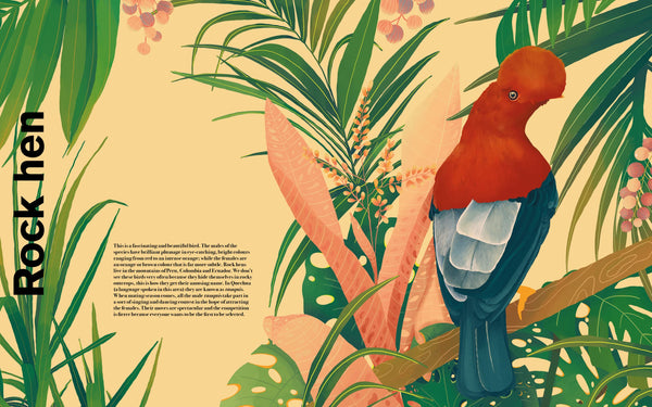 Undercover Birds - Hardback