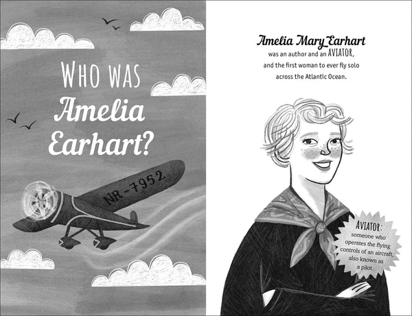 The Extraordinary Life of Amelia Earhart - Paperback