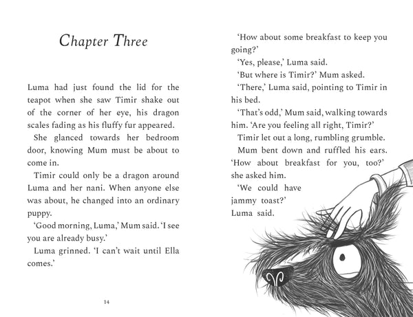 Luma And The Grumy  Dragon - Paperback