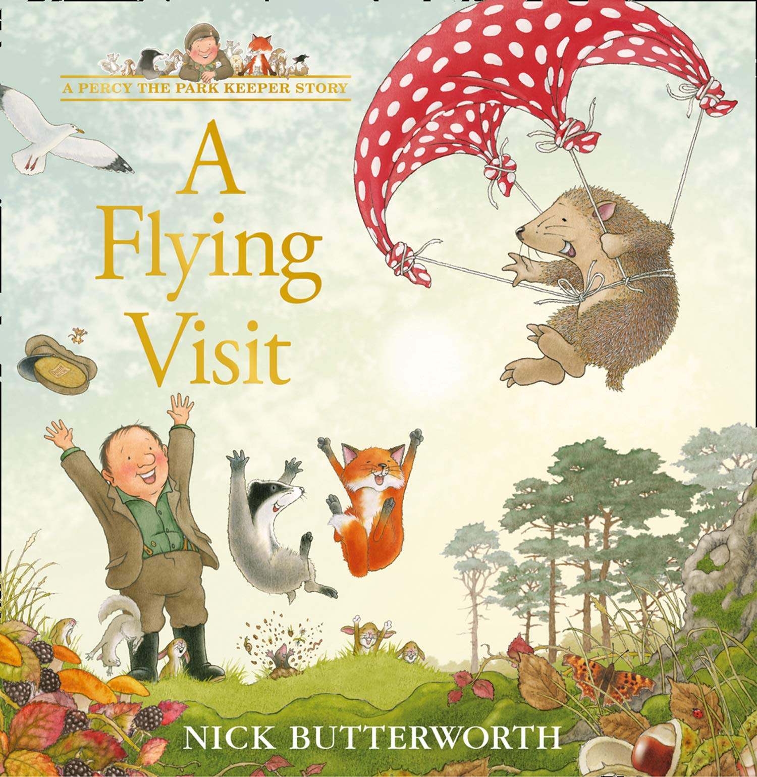 A Flying Visit : A New Percy the Park Keeper Adventure! - Hardback