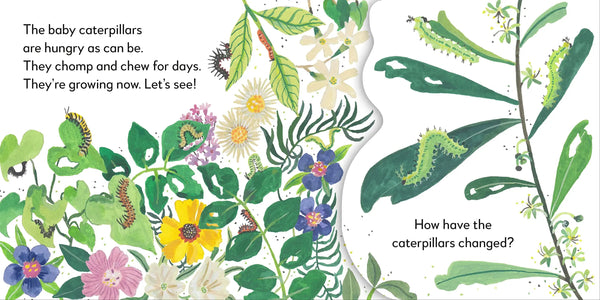 Pop-Up Peekaboo! Butterfly - Board Book