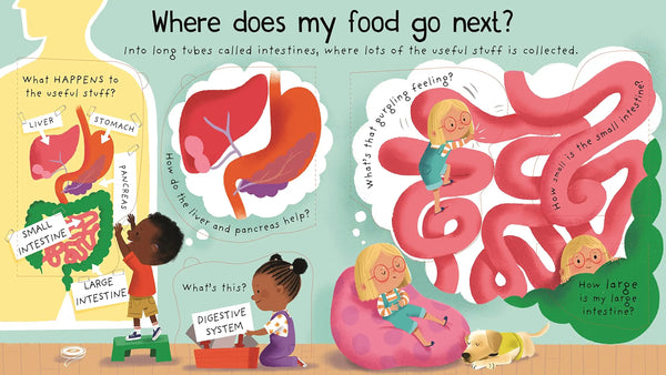 First Questions and Answers : Where Does My Food Go? - Board Book