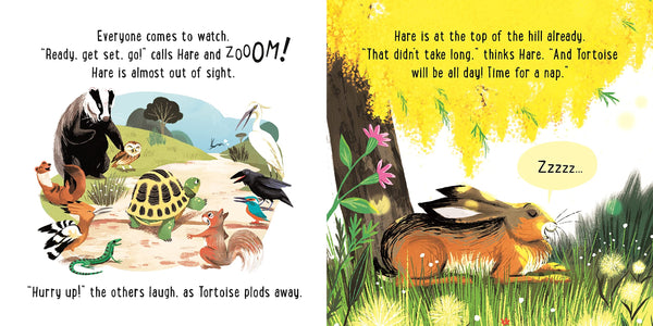The Hare and the Tortoise - Hardback