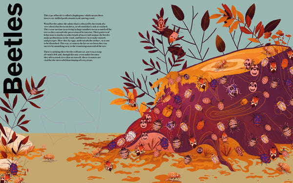 Undercover Bugs - Hardback