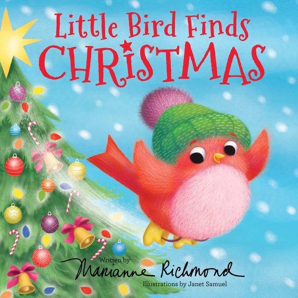 Little Bird Finds Christmas : A Sweet Christian Holiday Story - Hardback