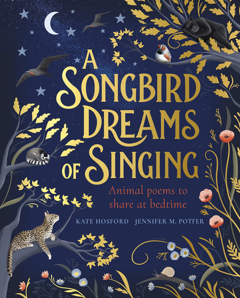 A Songbird Dreams of Singing - Paperback