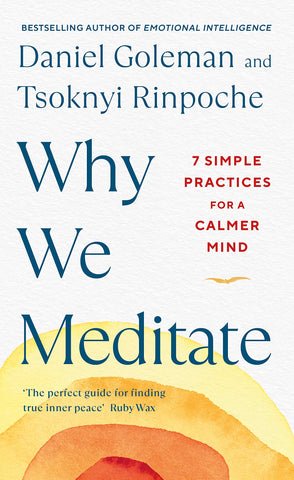 Why We Meditate: A Science-Based Guidebook - Hardback