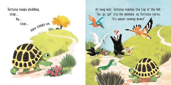 The Hare and the Tortoise - Hardback