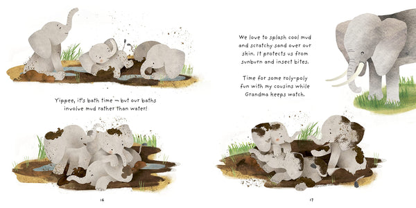 Really Wild Families : Little Elephant: A Day In The Life Of A Elephant Calf - Hardback